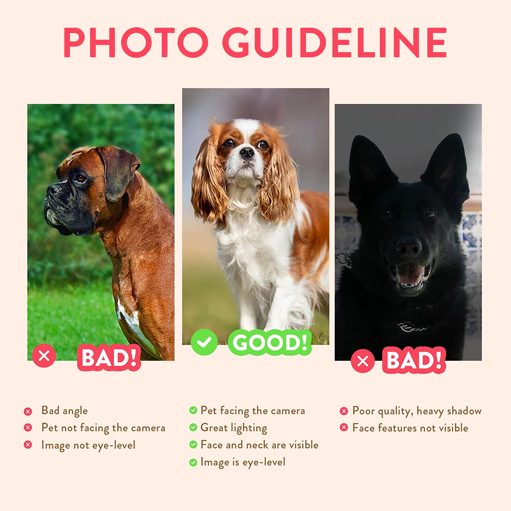 Retratos Personalizados de Ani - Pet Portrait Custom avaliação e preço